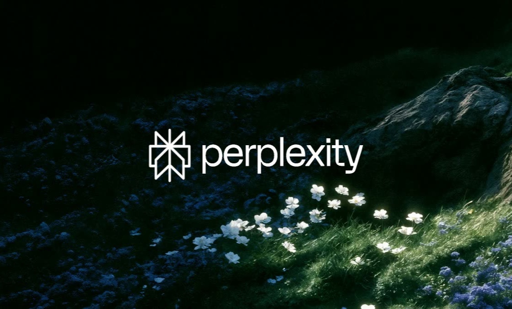 Perplexity